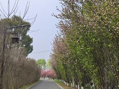 -苏州太湖国家湿地公园