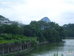 依山伴水-桂湖饭店