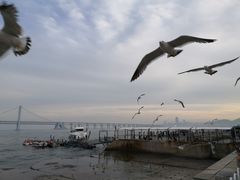 -星海广场