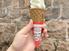 -富豪雪糕车流动点(尖沙咀)