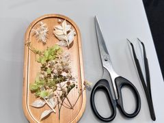 -莲花跑车(国贸商城店)