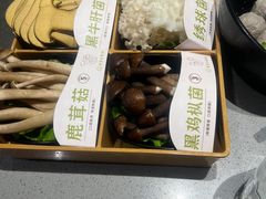 -海底捞火锅(吾悦广场店)