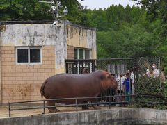 -合肥野生动物园