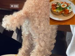 -Egg•Allday Brunch(襄阳北路店)