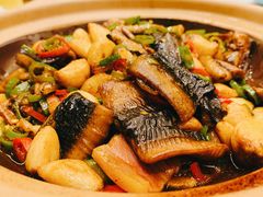-美盛喜来登大酒店喜舍茶馆