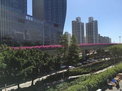 -红荔村肠粉(岗厦店)