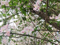-民园广场