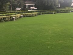 -天目湖涵田度假村