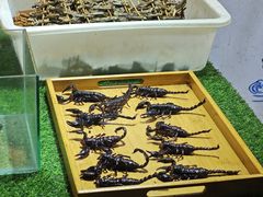 -塔湾兴顺国际观光夜市