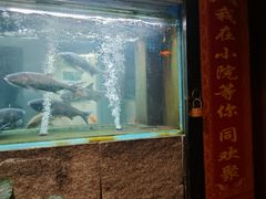 -又见炊烟私房菜(敬亭路店)