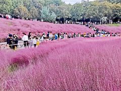 -牛岗山公园