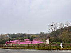 -棒棰岛宾馆景区