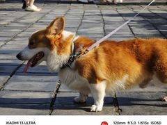 -巴陵广场