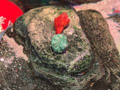 -沈阳海洋探索中心