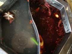 -鼎汇丰重庆老火锅(鞍顺园店)