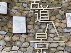 -南山植物园