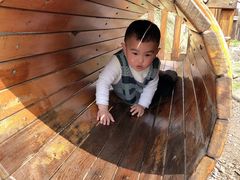 -田园东方蜜桃村的田野营地