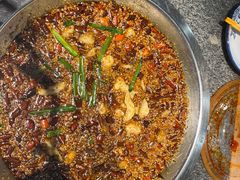 -胖子鱼·油泼甘谷辣子炝活鱼(秦州407店)