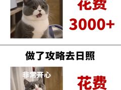 -巧克力渔家.小船海鲜胶东菜(三浴场店)