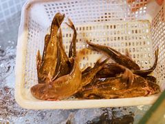 -亮欢寨快活林 酸汤鱼(仁怀店)