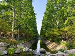 -东平国家森林公园