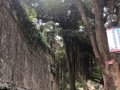-青芝山风景名胜区
