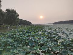 -丁香湖公园