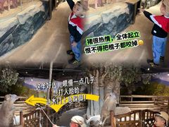 -正佳雨林生态植物园