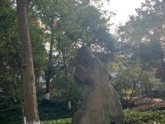 -北极阁公园