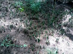 -西涌国际滨海旅游区