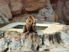 -珠海长隆海洋王国