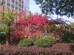 -南宁南湖公园