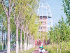 -永定河休闲森林公园