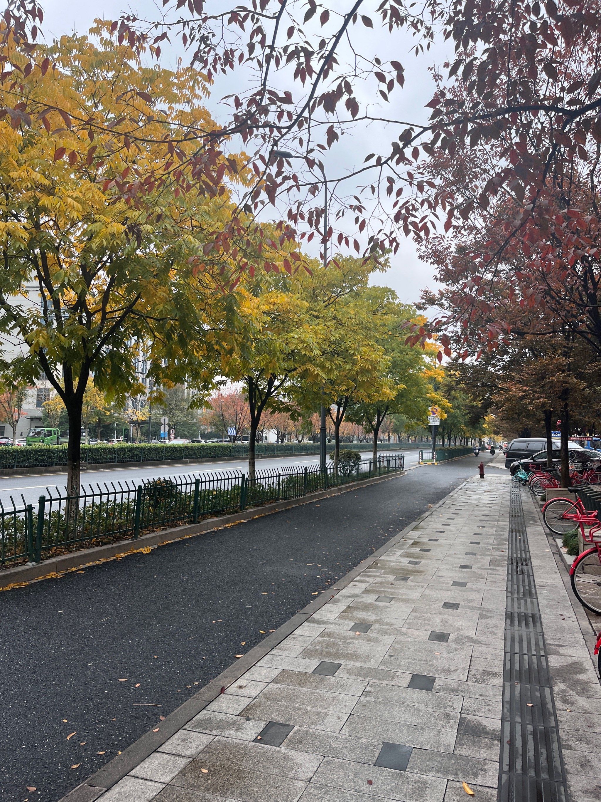 冬街景色随手拍~雨后的街道干净明亮