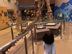 -陕西自然博物馆