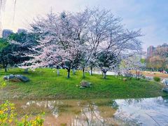 -堤角公园