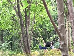 -北京西山国家森林公园