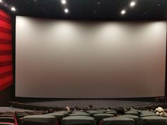 -华谊兄弟影院(IMAX洋桥店)