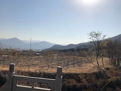 -阳台山自然风景区