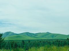 -塞罕坝国家级自然保护区