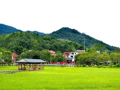 -红山村