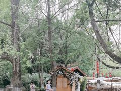-成都市活水公园