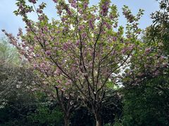 -扬州瘦西湖汇金酒店