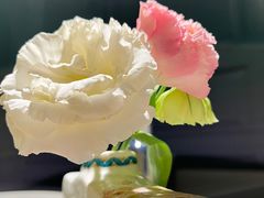 -南堂馆·新川菜(春熙路店)