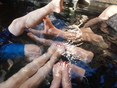 -仁爱团泊湖温泉中心