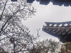 -何园