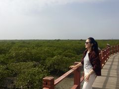 -北海金海湾红树林生态旅游区