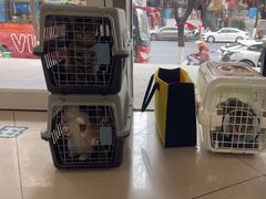 -艾贝尔宠物医院 ·中兽医·宠保定点(北门桥店)