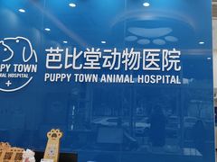 -芭比堂动物医院·CT·微创中心(新顺分院)