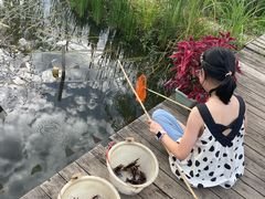 -同銮特种养殖场·龙虾垂钓